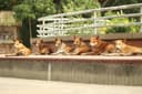 Winter Dog Care: Why Indoor Dog Parks Are Essential During Cold Months