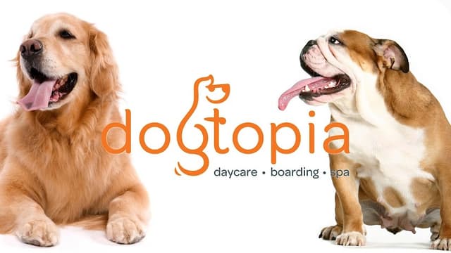 Dogtopia of Anaheim Hills