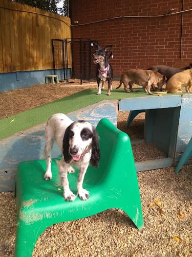 Barking Hound Village Inn
