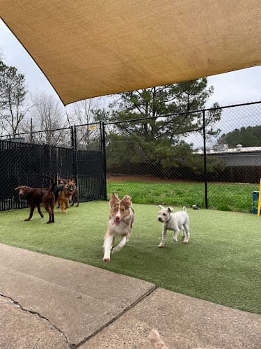 Barking Hound Village Marietta