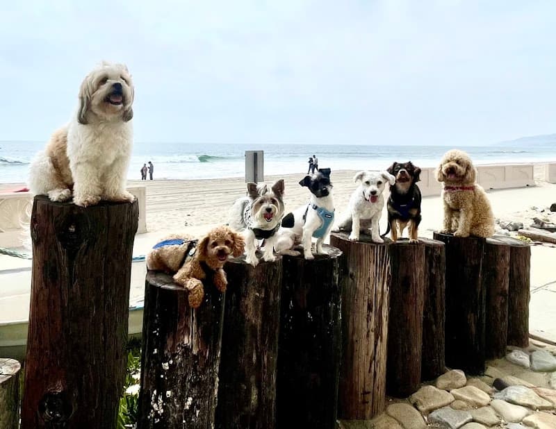 Dog parks in CA 90402, California