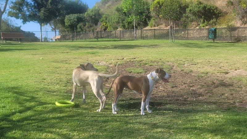 Dog parks in CA 92108, California