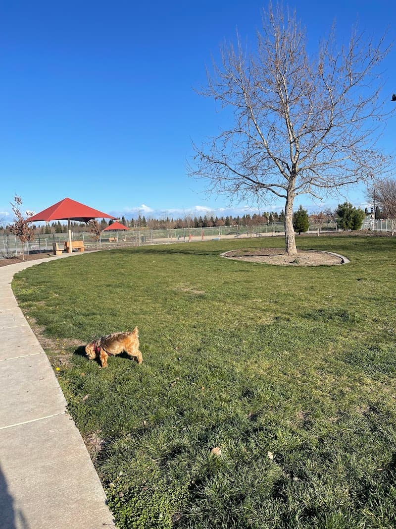 Dog parks in CA 95835, California