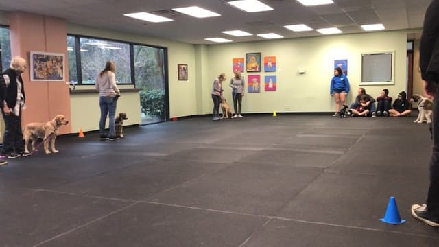 Canine Learning Centers photo 1