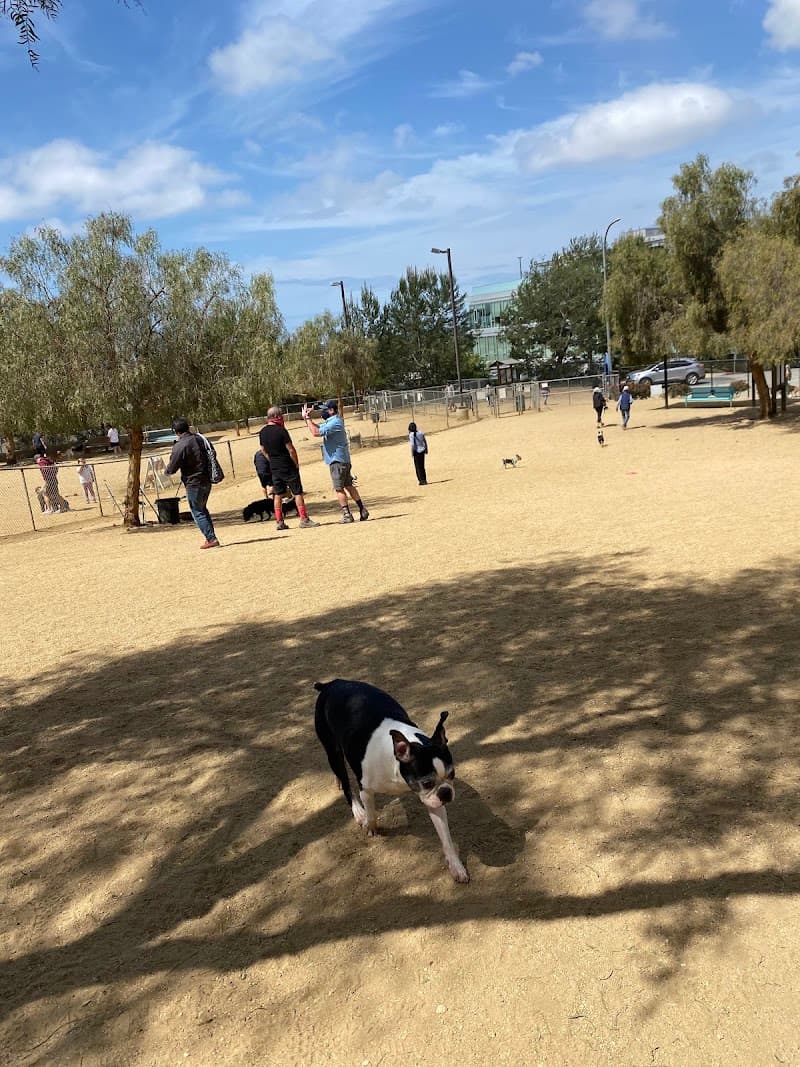 Culver City dog park landscape