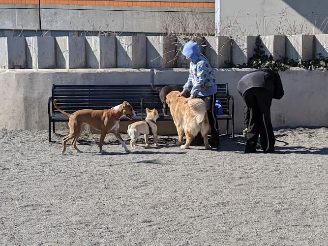 East River Esplanade Dog Run