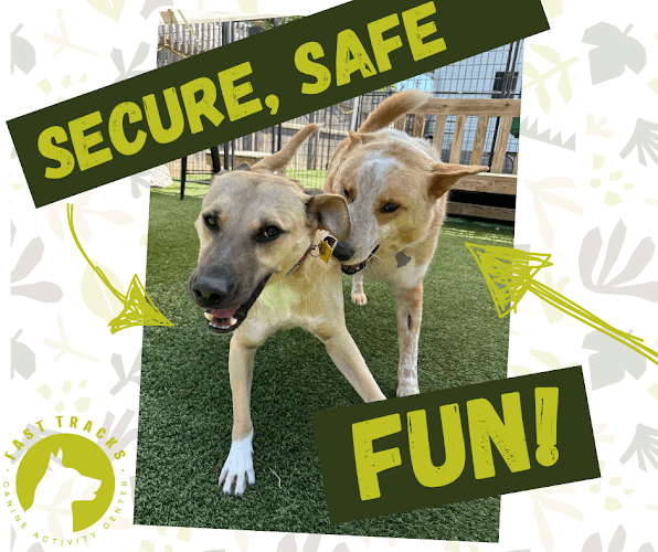 Fast Tracks Canine Activity Center