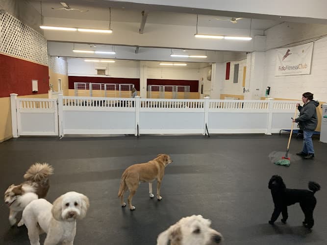 Fido Fitness Club