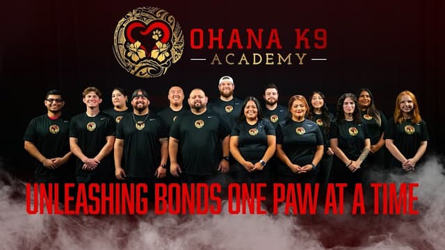 Ohana K9 Academy - Dog Training, Boarding & Dog Daycare