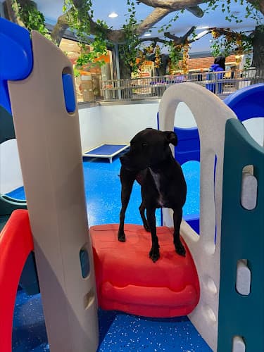 Happy Paws Pet Resort