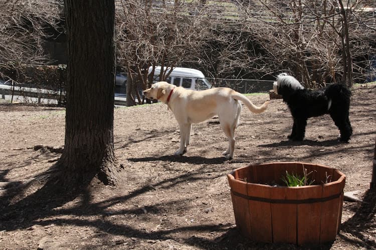 Hillside Dog Park