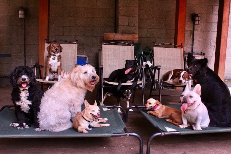 Hotel Bark Ave