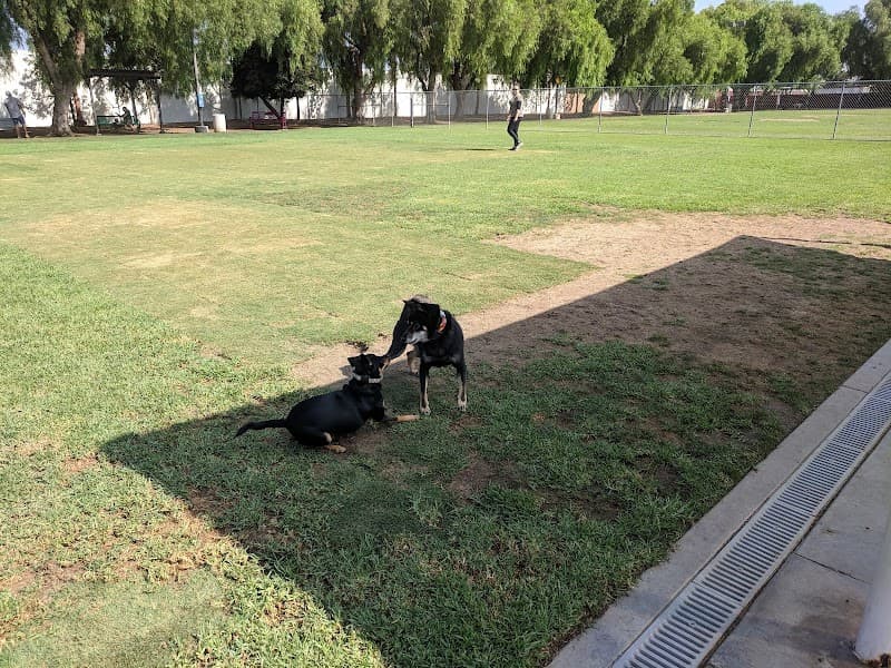Irvine dog park landscape