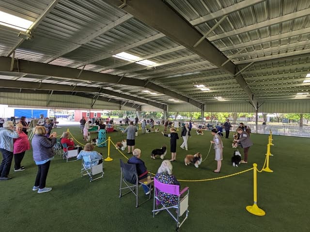 Sycamore Lane Kennels