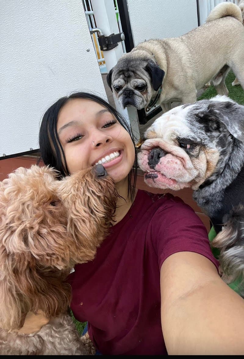 South Park Doggie - Doggieland (LA) - Indoor Dog Park in Los Angeles, CA | Indoor Dog Park