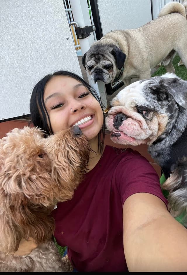 South Park Doggie - Doggieland (LA) photo 1