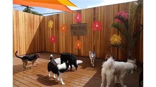 Wag Hotels - Hollywood photo 1