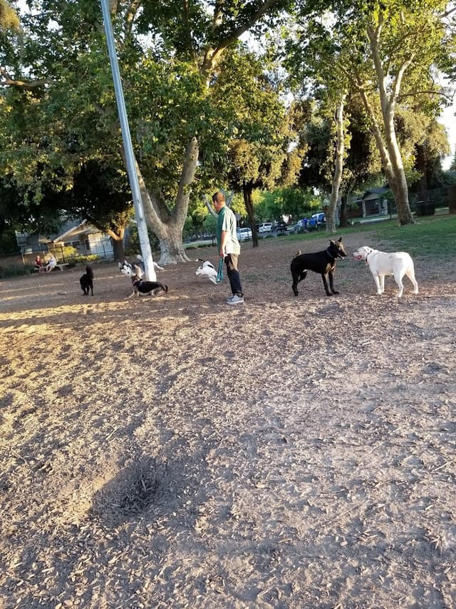 Elk Park / Modesto Dog Park