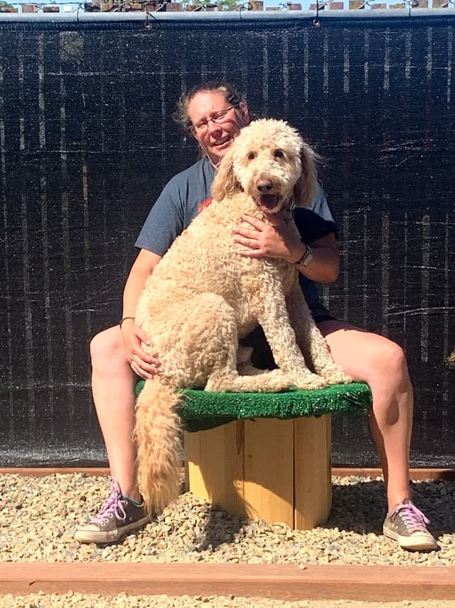 For Wags N Wiggles Doggie Daycare and Boarding