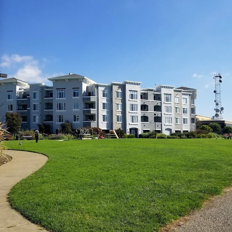 Oakland dog park landscape