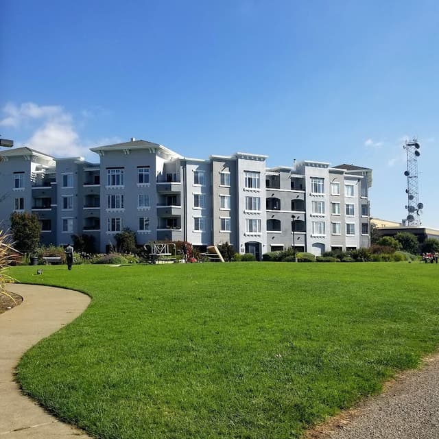 Dog Play Area at The Landing