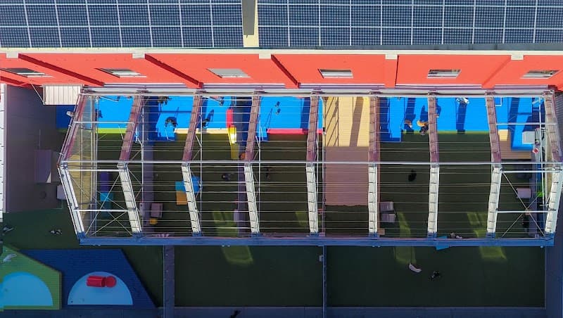 The Dog Social Club Cooperative - Dog Park in Oakland, CA | Indoor Dog Park