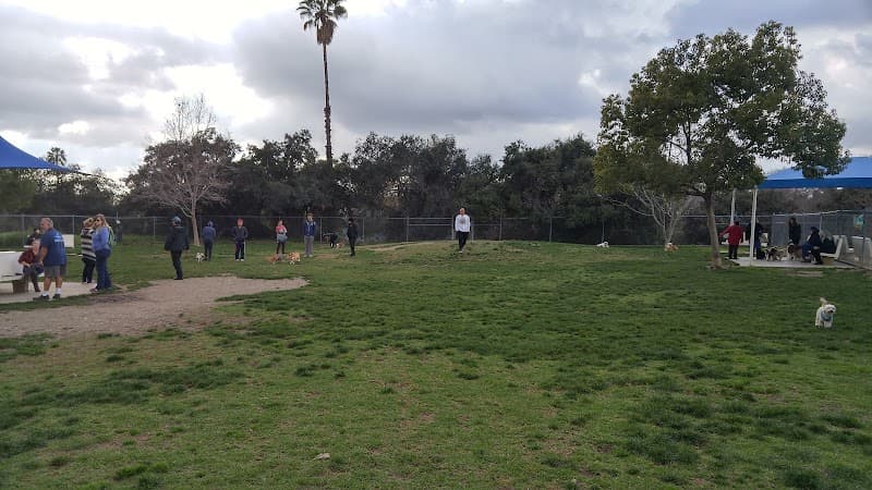 Alice's Dog Park - Dog Park in Pasadena, CA | Indoor Dog Park