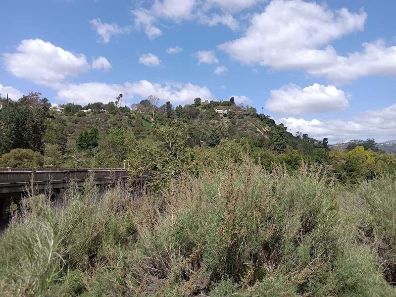 Playhouse Village Dog Runs - Dog Park in Pasadena, CA | Indoor Dog Park