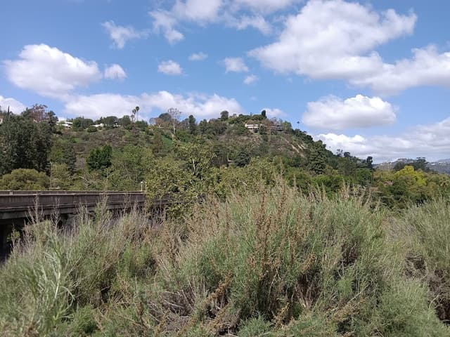 Playhouse Village Dog Runs