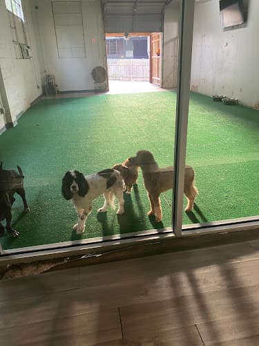 Paw Palace of Atlanta