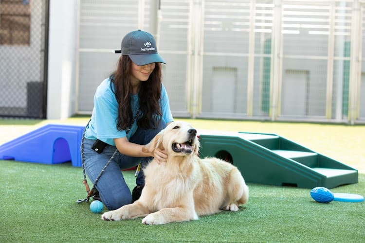 Pet Paradise Woodstock