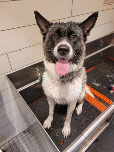 Petco