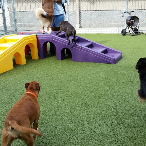 PetSuites Norcross