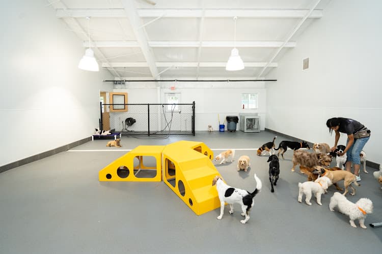 PetSuites Roswell