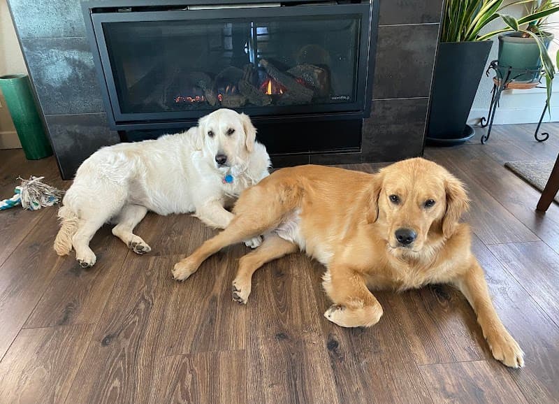 Dog parks in Reno, NV