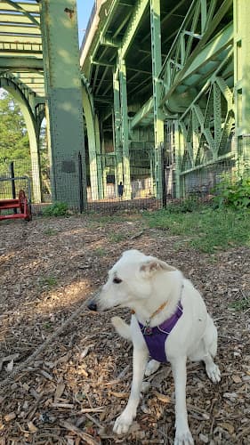 Riverside Park South Dog Run