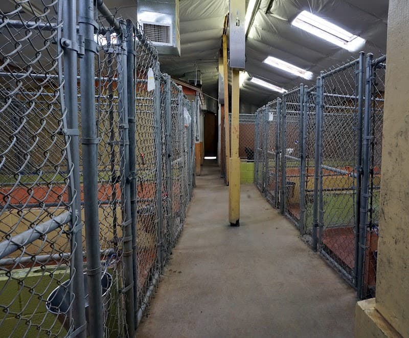 Arcade Creek Kennels - Dog Park in Sacramento, CA | Indoor Dog Park