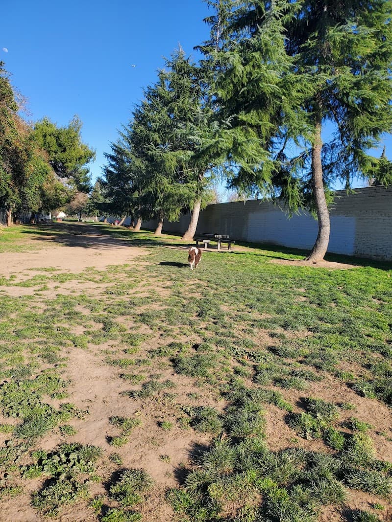 Glenbrook Large Dog Park - Dog Park in Sacramento, CA | Indoor Dog Park