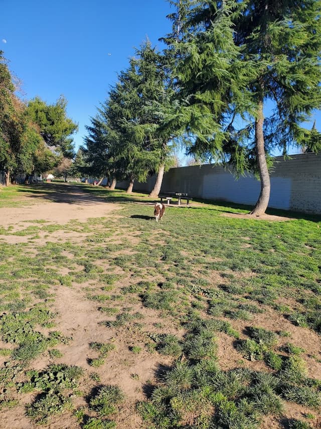 Glenbrook Large Dog Park photo 1