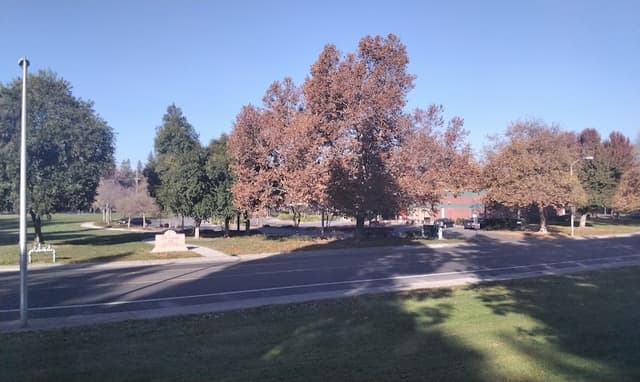 Partner Park Dog Park photo 1