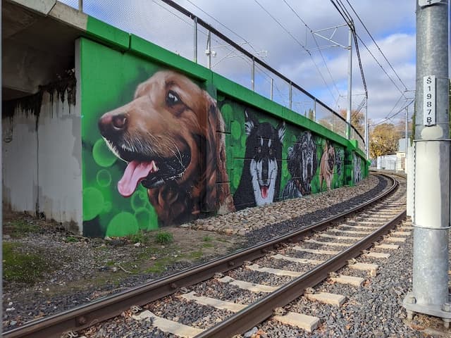 Truitt Bark Park photo 1