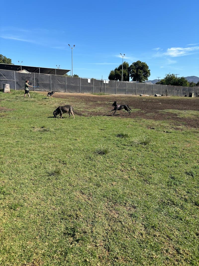Allied Gardens Dog Park - Dog Park in San Diego, CA | Indoor Dog Park