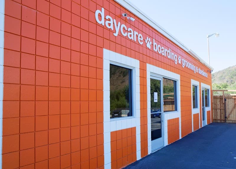 Camp Run-A-Mutt, Sorrento Valley - Dog Park in San Diego, CA | Indoor Dog Park