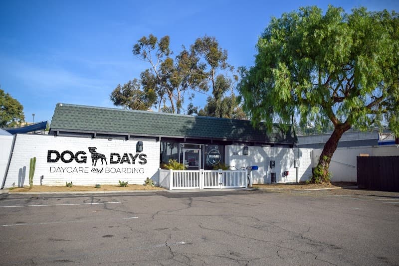 Dog Days San Diego - Dog Park in San Diego, CA | Indoor Dog Park