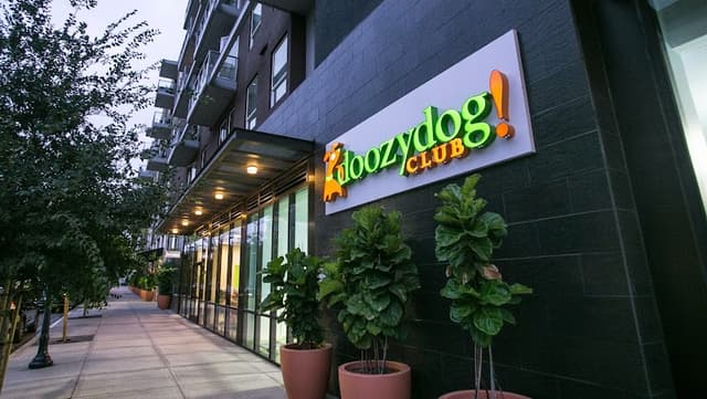 Doozydog! Club photo 1