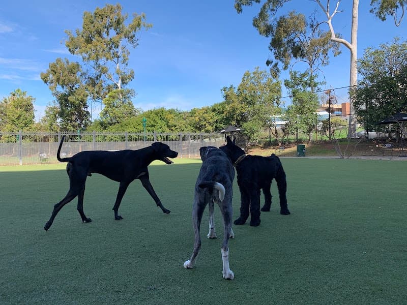 Little Italy Dog Park - Dog Park in San Diego, CA | Indoor Dog Park