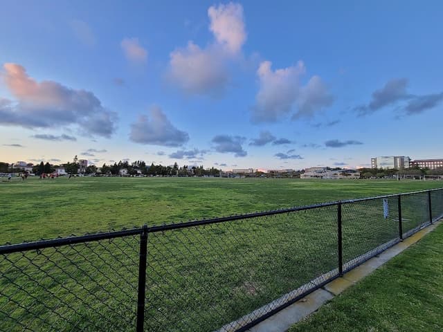 Nobel Leash-Free Park photo 1