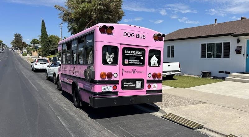 Precious Pet Care San Diego - Dog Park in San Diego, CA | Indoor Dog Park