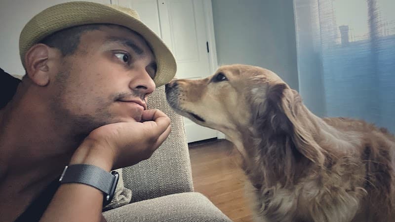 San Diego PupPals - Dog Park in San Diego, CA | Indoor Dog Park