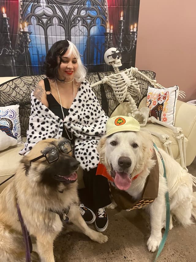 Wag Hotels - San Diego photo 1